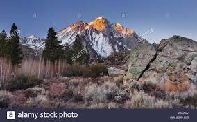 Laurel Mountain